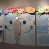 Utah Museum of Natural History- Stem Cells & You Traveling Exhibit