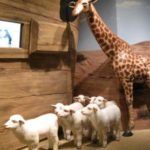 JCM Jewish Children's Museum Ark Lambs_Giraffe